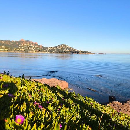 Vacances En Paradis Saint-Raphaël Dış mekan fotoğraf