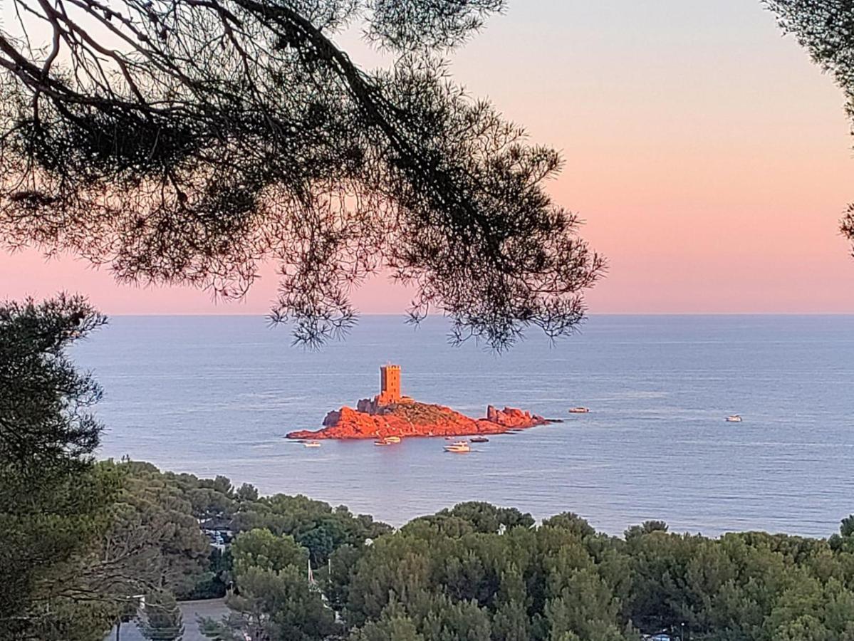 Vacances En Paradis Saint-Raphaël Dış mekan fotoğraf