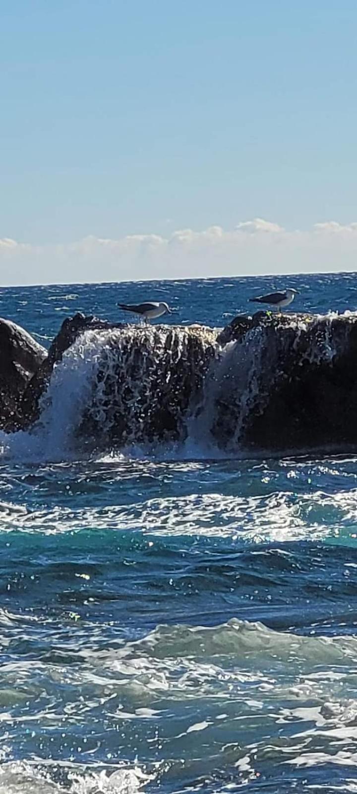 Vacances En Paradis Saint-Raphaël Dış mekan fotoğraf
