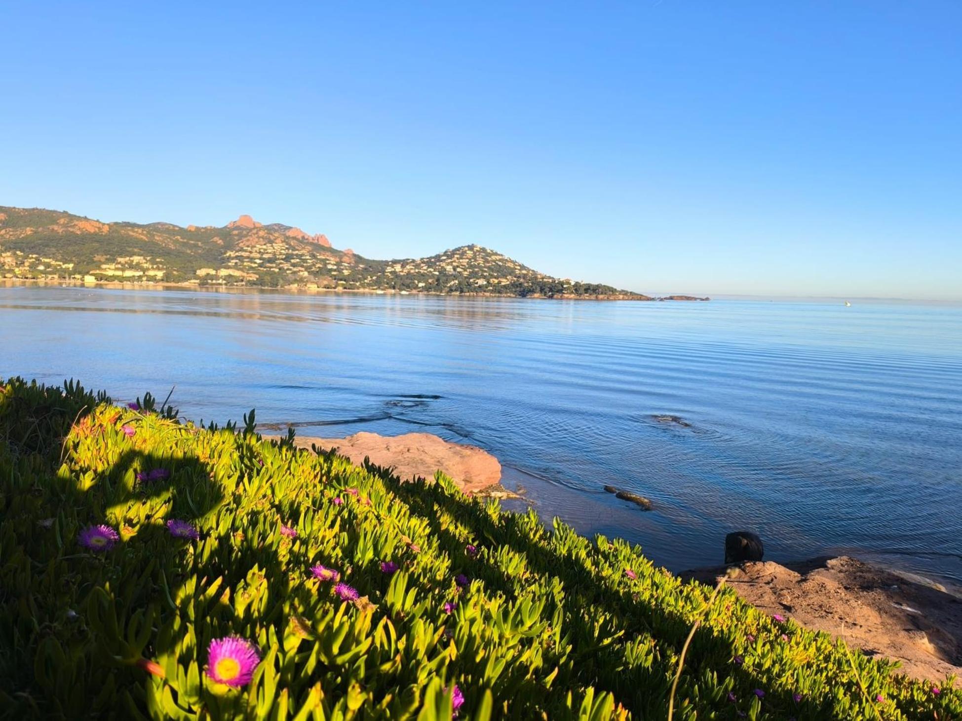 Vacances En Paradis Saint-Raphaël Dış mekan fotoğraf